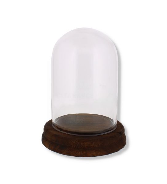 VINTAGE SMALL GLASS DOME W/ WOODEN BASE